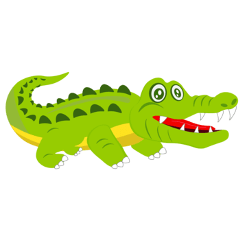 Crocodile